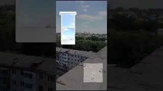 А слоны оказывается.....  #факты #наука #интересные