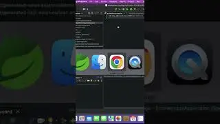 Spring Boot Admin Server + Security + Server and Client Register | API Example