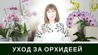 Уход За Орхидеей Фаленопсис: Мой Удачный Опыт