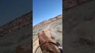 Dakota's 3rd trail ride ever! #letshowdakota