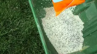 How Often Should I Fertilize My Lawn?