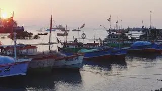 #youtubeshorts #kawali #vlog #shortvideo #kgnlovers #shortvideo #sikka #vlog #shortsfeed #india