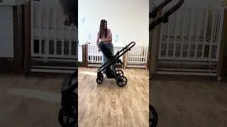 Коляска Roan Sol