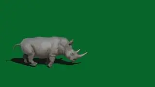 Rhino #2 Green Screen (Resounded)