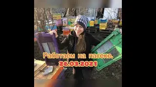 Работаем на пасеке ,чистим ,обрабатываем ,раздаем подкормку