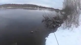 Декабрьский окунишка на канале СУГРЭС 2015