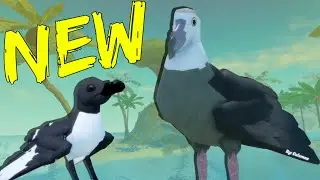Two NEW Petrels on Feather Family!!