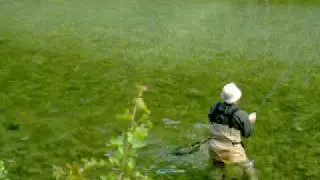 Fly fishing in Slovenia