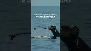 #камчатка #путешествиенакамчатку
