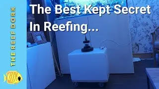 Reefloat Automatic Water Changer Review