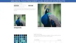 Digital Tools From Robert Allen: Search By Color Palette