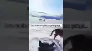 Шығыс Қазақстан.Тарбағатай.Алакөл