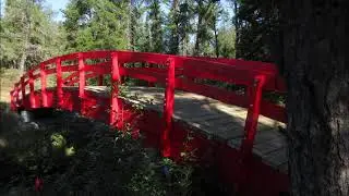 Centennial Trail - New Bridge At Lower Falls On Hansons Creek - Henry's Hikes - September 10, 2020