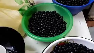 джем из санберри. Варенье из санберри.