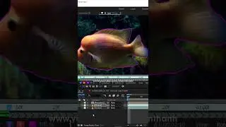 Hướng dẫn After Effects Mask Prompter 