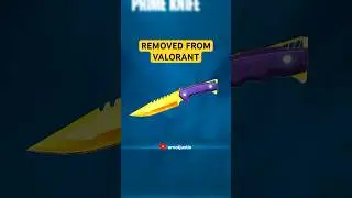 This Melee was Removed from VALORANT 