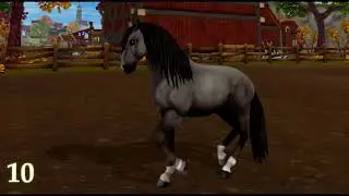 Lusitano Recolor