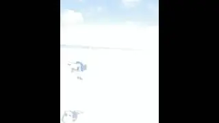 Dava закопал Бузову на пляже / Вайны Блогеров