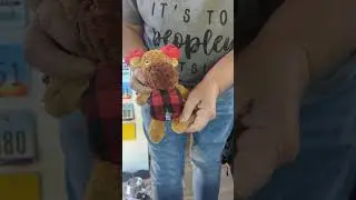 Crazy Dog Makes Anatomically Correct Toy