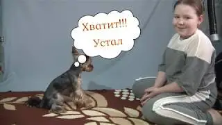 #Сидимдома