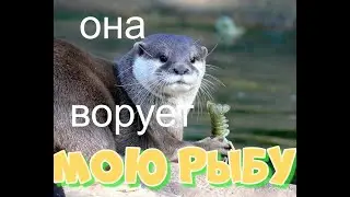 как с этим бороться.ЕСТЬ У МЕНЯ ПОСЛЕДНИЙ КОЗЫРЬ.