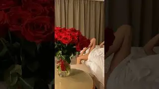 6 ноября 2023 г.
