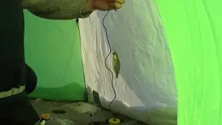 ИСЕТЬ ГОРОД