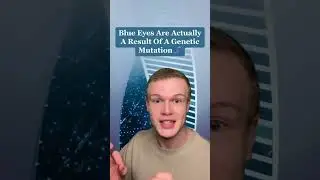 Insane Facts About Blue Eyes 🔵 #facts #fact #world #earth #blue #eyes #human #bodies #insane #crazy