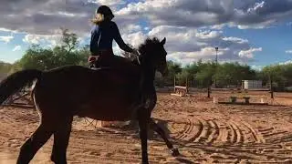 2’6ish “course” on nabs