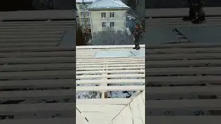 23 ноября 2023 г.