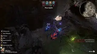 Phase Spider Matriarch strategy for Solo Baby Paladins (Level 4) | Honour Mode