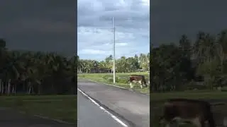 On the way to Pagadian City from Iligan city part 1