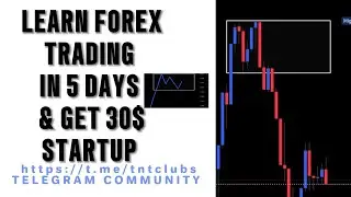 LEARN FOREX TRADING IN 5DAYS