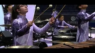 NOT Revelation 2024 WGI FINALS (Multi Cam)