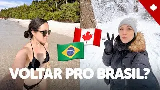 Vou voltar a MORAR no BRASIL? Sendo muito SINCERA sobre essa possibilidade... 🇧🇷