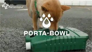 Struggling to keep your dog hydrated on the go? Porta-Bowl - the ultimate portable dog water bowl