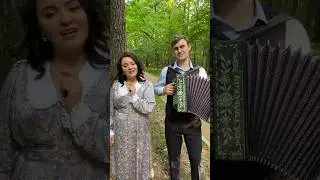 Ветка сирени упала на грудь | Дуэт Винил