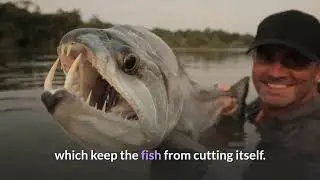 SCARIEST FISHES