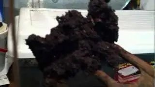Worm Compost: 20 gallons harvested in basement!