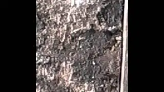 Хамское отношение сотрудников полиции!!!