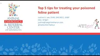 Top 5 Tips for Treating Your Poisoned Feline Patient by Justine Lee, DVM, DABT, DACVECC