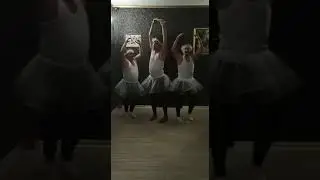 Танец маленьких лебедей. Трех белых и одного черного. 2020