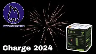 Pyroweb Bellis / fette Buketts für unter 30€ 😱 [4K]