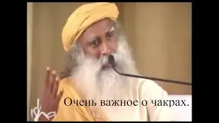 Очень важное о чакрах.   https://t.me/zaretskiyadvokat