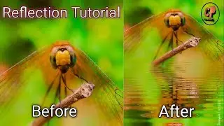 Reflection edit Tutorial | Mirrorlab Tutorial|How to edit Reflection