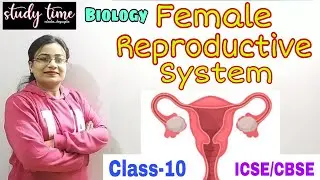 Female Reproductive System| Structure of Ovary| #Reproductive System | ICSE & CBSE Class-10 Bio
