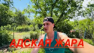 КУПИЛИ ЗАБРОШЕННУЮ ДАЧУ! НЕРЕАЛЬНАЯ ЖАРА! ОПЯТЬ ВЕРНУЛСЯ НА ВТОРОЙ ЭТАЖ!