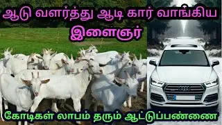 ஆடு வளர்த்து ஆடி கார் வாங்கிய இளைஞர் கோடிகள் லாபம் தரும்  ஆட்டுப்பண்ணை