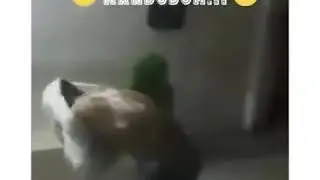 27 de enero de 2019