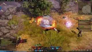 ALAKKIR ISLAND Event Gameplay and MOKOKO SEED Locations in LOST ARK